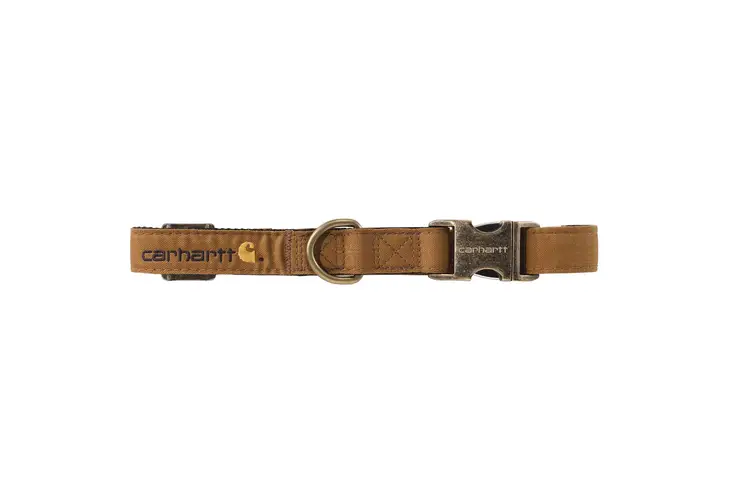 Carhartt Journeyman CoRain Defenderura Dog Collar for Mens